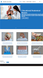 Mobile Screenshot of anatomy-model.com